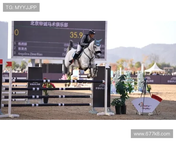 2026年马术比赛：全球顶尖骑手齐聚一堂的盛事